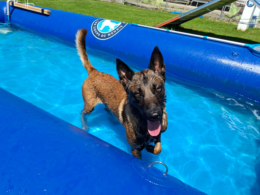 Volt à la Piscine